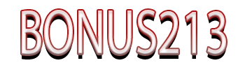 BONUS213 Logo